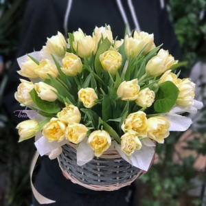 Весенняя сказка №9 Корзина пионовидных тюльпанов