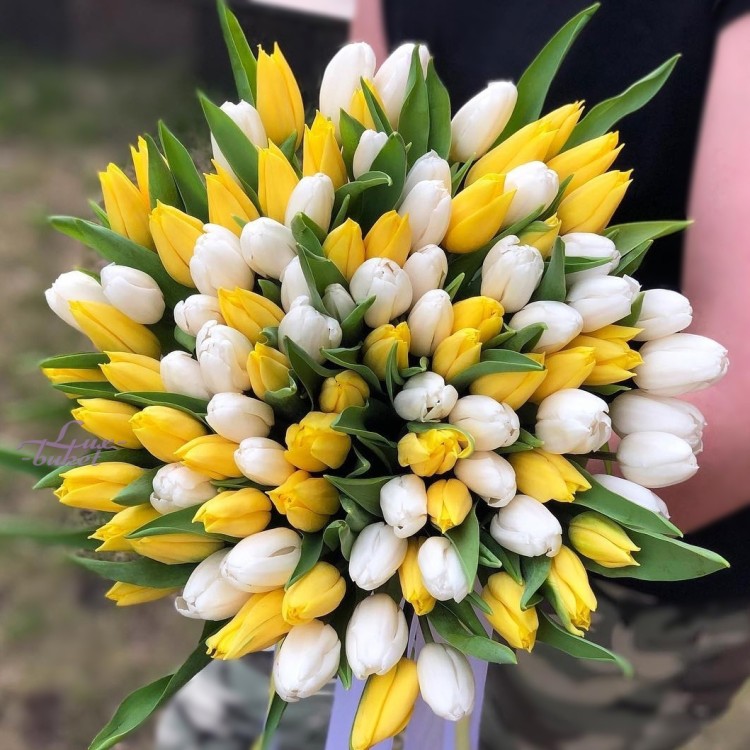 Белое золото Букет тюльпанов с доставкой в Ессентуках