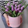 Тюльпаны в коробке Фиолет с доставкой в Ессентуках