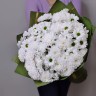 Букет белых хризантем  с доставкой в Ессентуках