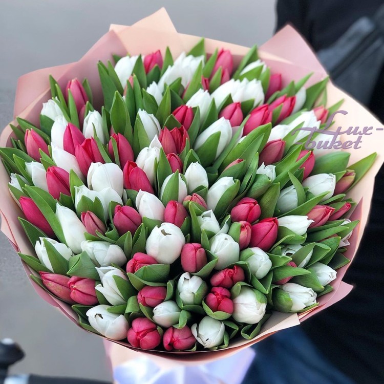 Большой букет тюльпанов Когда в сердце весна с доставкой в Ессентуках